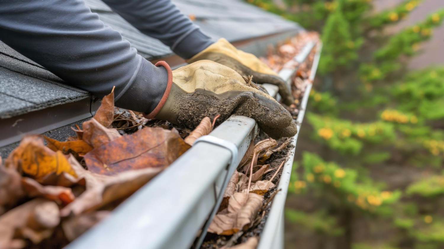 gutter-clean
